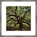 Angel Oak #1 Framed Print