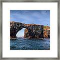 Arch Rock And Lighthouse #1 Framed Print