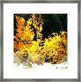 Aspen Glow #1 Framed Print