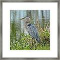 At Water's Edge #1 Framed Print