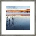 Autumn Fog #2 Framed Print