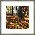 Autumn Shadows In The Blue Ridge Ap Framed Print