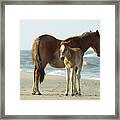 Banker Horses - 4 #1 Framed Print