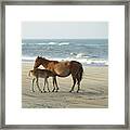 Banker Horses - 7 #1 Framed Print