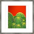 Barrel Cactus #1 Framed Print