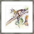 Bee High - Cat Up A Tree Framed Print