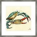 Blue Crab Painting #1 Framed Print