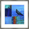 Blue Raven #2 Framed Print