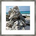 Bonaire Coral And Shells 3 Framed Print