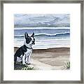 Boston Terrier At The Beach #2 Framed Print