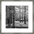 Cabin In Cades Cove #1 Framed Print