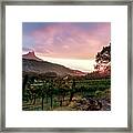 Colibri Sunrise #1 Framed Print