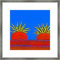 Colorful Potted Plants Mexico #3 Framed Print