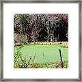 Country Pond #1 Framed Print