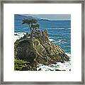 Cypress Point Ll #1 Framed Print