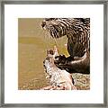 Dinner Time #1 Framed Print