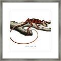 Eastern Casquehead Iguana, Laemanctus Longipes #1 Framed Print