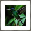 Emerald Glow #1 Framed Print