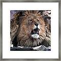 Enough #1 Framed Print