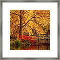 Fall Colors By The Pond #1 Framed Print