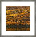 Fall Colors In The Arctic #1 Framed Print