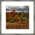 Fall Colors #1 Framed Print