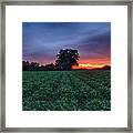 Farm Sunset Framed Print