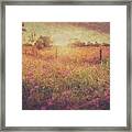 Field Of Pink #1 Framed Print