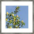 Flower #1 Framed Print