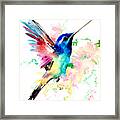 Flying Hummingbird #1 Framed Print