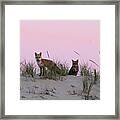 Fox And Vixen #1 Framed Print