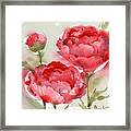 Fresh Peonies #1 Framed Print