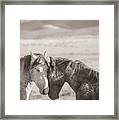 Friends #1 Framed Print