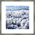 Frosted Trees In Ogden Valley Utah #1 Framed Print
