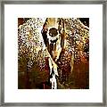 Grace #1 Framed Print