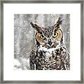Great Horned Owl #2 Framed Print