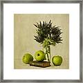 Green Apples And Blue Thistles #1 Framed Print