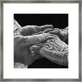 Hands Of Love Framed Print