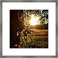 Happy St. Patrick's Day From The Farm #1 Framed Print