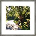 Have A Seat #1 Framed Print
