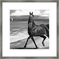 Horses In Paradise  Dance #1 Framed Print