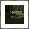 Huntsman #1 Framed Print