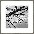 Icicled #1 Framed Print