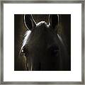 In The Stable #1 Framed Print