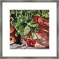 It's Berry Season #2 Framed Print