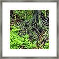 Jungle Roots #1 Framed Print