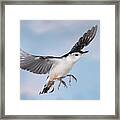 Landing Gear Down #1 Framed Print