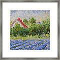 Lavender Field Provence #1 Framed Print