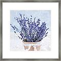 Lavender #1 Framed Print