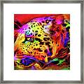 Leopard #1 Framed Print